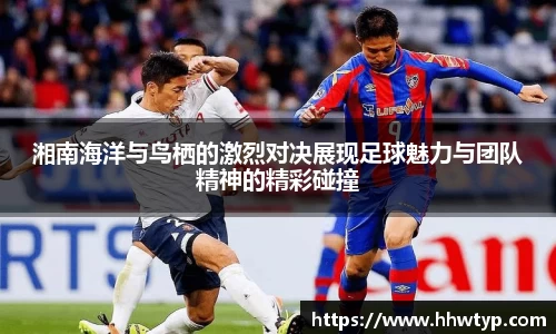 中欧体育官方网站